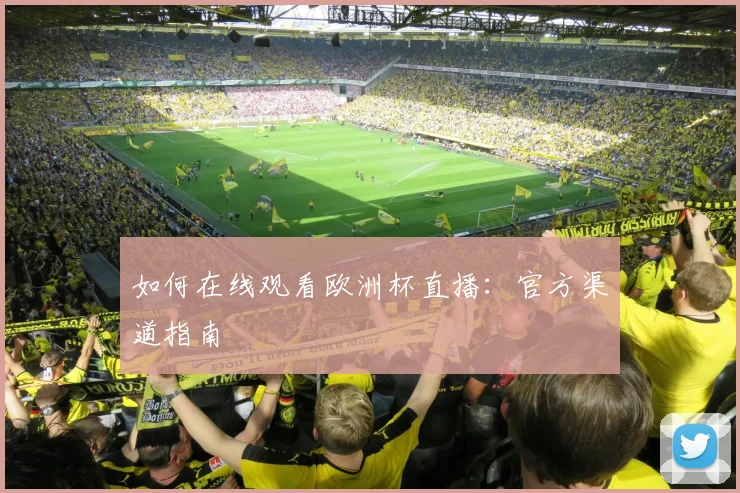 如何在线观看欧洲杯直播:官方渠道指南