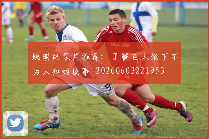 姚明纪录片推荐：了解巨人场下不为人知的故事_20260603221953