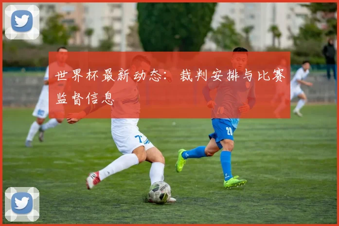 世界杯最新动态：裁判安排与比赛监督信息
